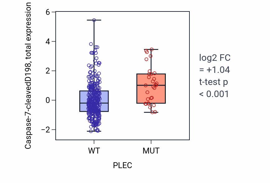 Box plot of Caspase-7-cleavedD198 in PLEC-low vs PLEC-high samples in COAD.