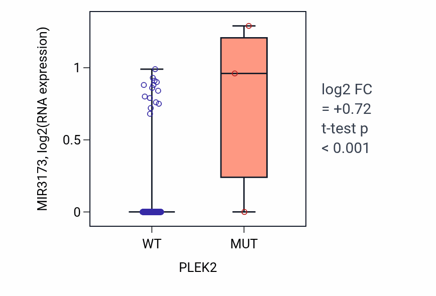 Box plot of MIR3173 in PLEK2-low vs PLEK2-high samples in LIHC.