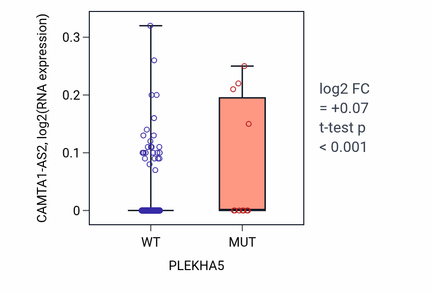 Box plot of CAMTA1-AS2 in PLEKHA5-low vs PLEKHA5-high samples in SKCM.