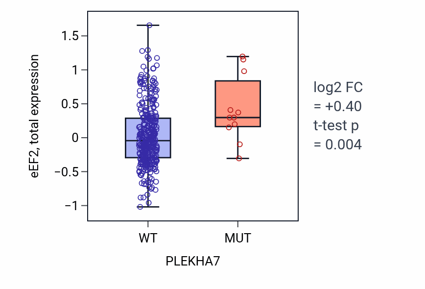 Box plot of eEF2 in PLEKHA7-low vs PLEKHA7-high samples in COAD.