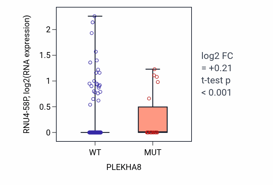 Box plot of RNU4-58P in PLEKHA8-low vs PLEKHA8-high samples in UCEC.