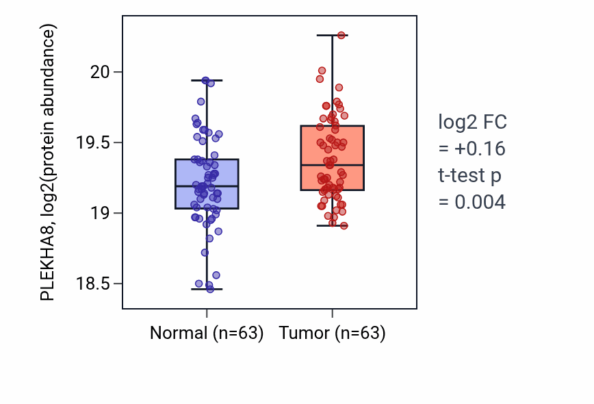 Tumor-vs-normal mass-spec protein box plot for PLEKHA8 in LSCC.