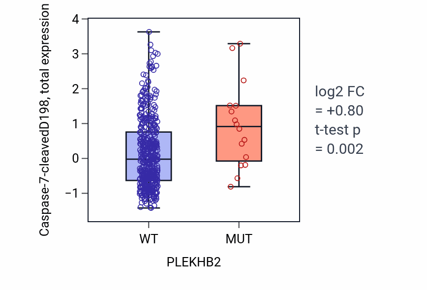 Box plot of Caspase-7-cleavedD198 in PLEKHB2-low vs PLEKHB2-high samples in UCEC.