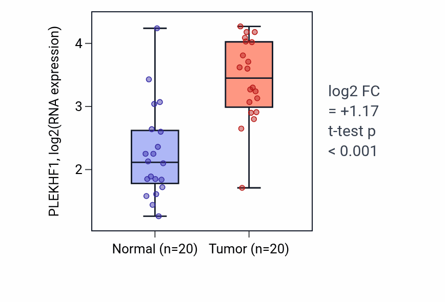Tumor-vs-normal expression box plot for PLEKHF1 RNA in KIRC.