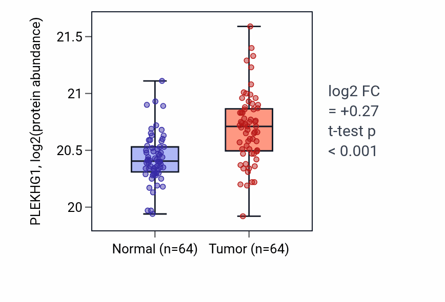 Tumor-vs-normal mass-spec protein box plot for PLEKHG1 in CCRCC.