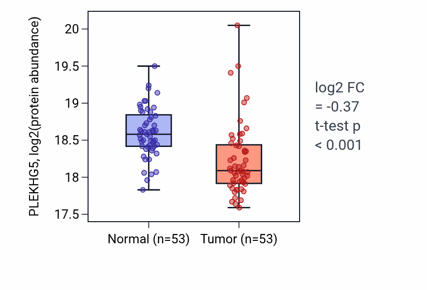 Tumor-vs-normal mass-spec protein box plot for PLEKHG5 in LUAD.