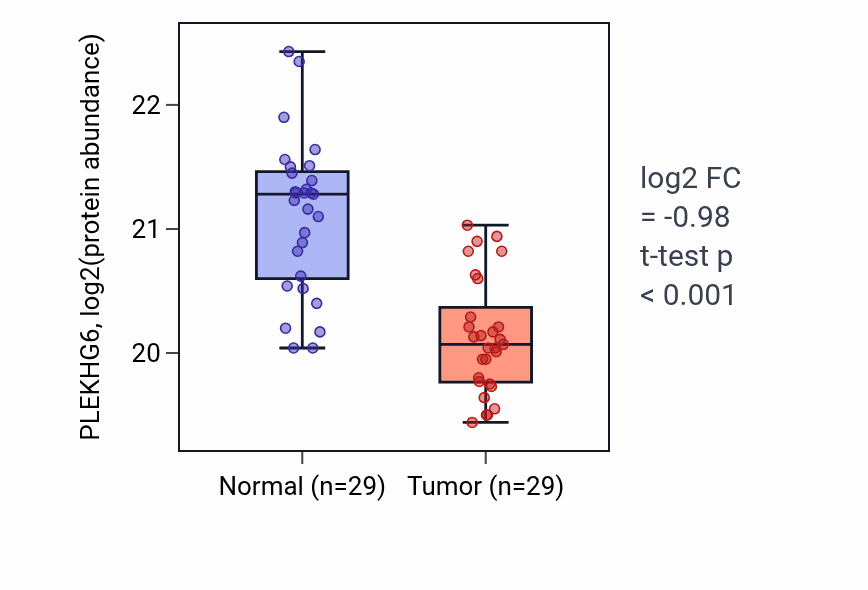 Tumor-vs-normal mass-spec protein box plot for PLEKHG6 in HNSC.