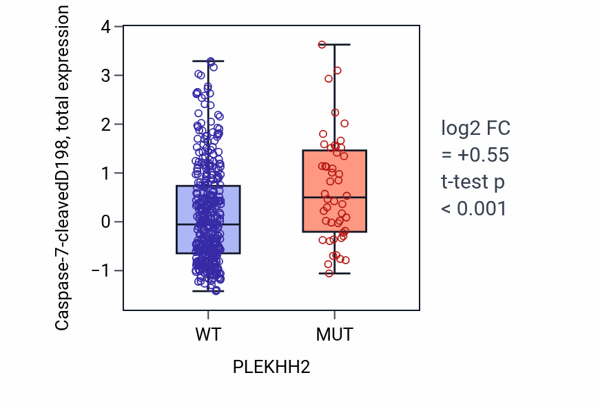 Box plot of Caspase-7-cleavedD198 in PLEKHH2-low vs PLEKHH2-high samples in UCEC.