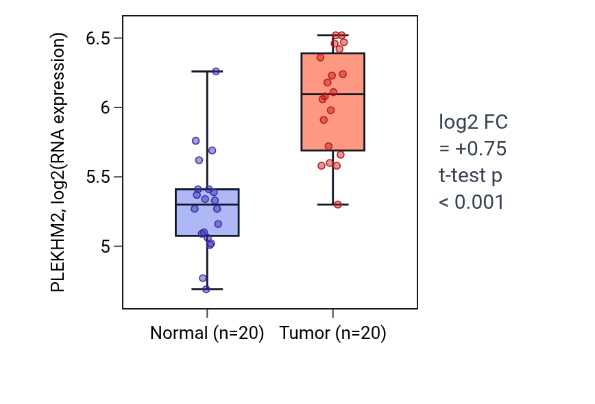 Tumor-vs-normal expression box plot for PLEKHM2 in KIRC.