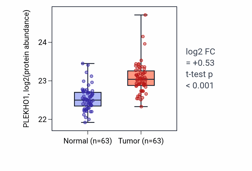 Tumor-vs-normal mass-spec protein box plot for PLEKHO1 in CCRCC.