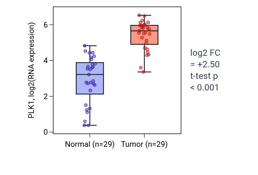 Tumor-vs-normal expression box plot for PLK1 in HNSC.