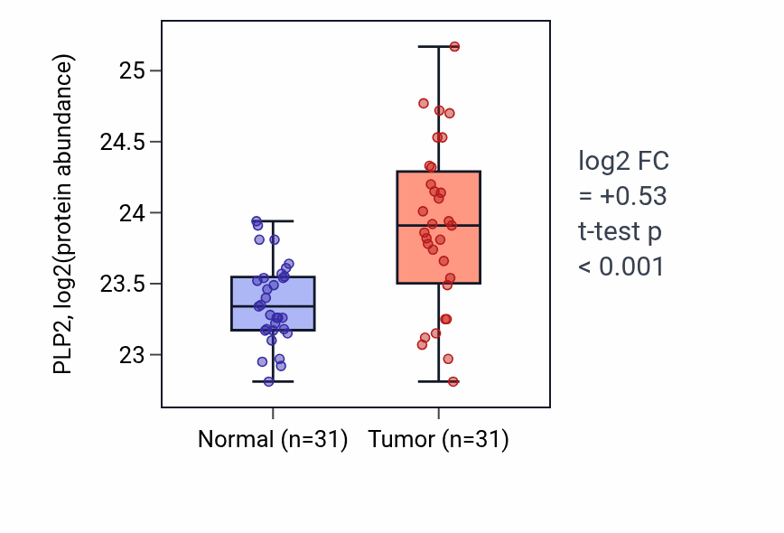 Tumor-vs-normal mass-spec protein box plot for PLP2 in CCRCC.