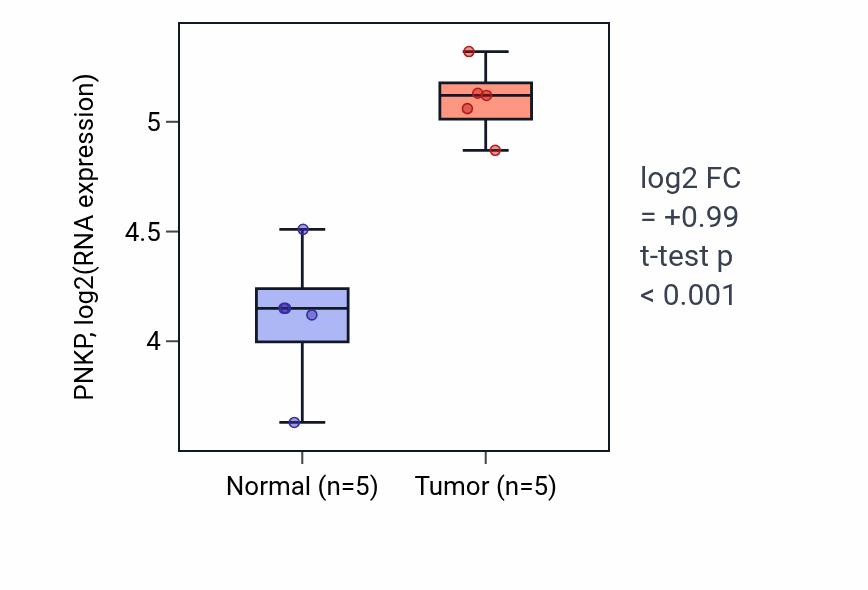 Tumor-vs-normal expression box plot for PNKP RNA in COAD.