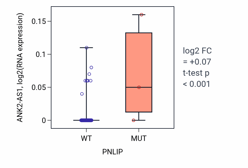 Box plot of ANK2-AS1 in PNLIP-low vs PNLIP-high samples in LIHC.