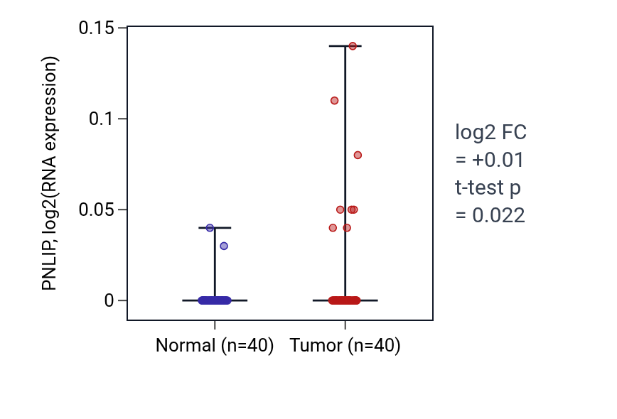 Tumor-vs-normal expression box plot for PNLIP in HNSC.