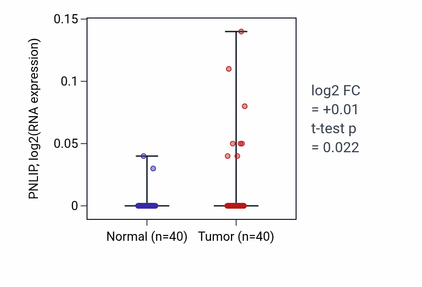 Tumor-vs-normal expression box plot for PNLIP RNA in HNSC.