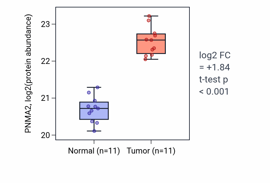 Tumor-vs-normal mass-spec protein box plot for PNMA2 in CCRCC.