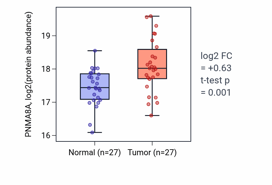 Tumor-vs-normal mass-spec protein box plot for PNMA8A in LSCC.