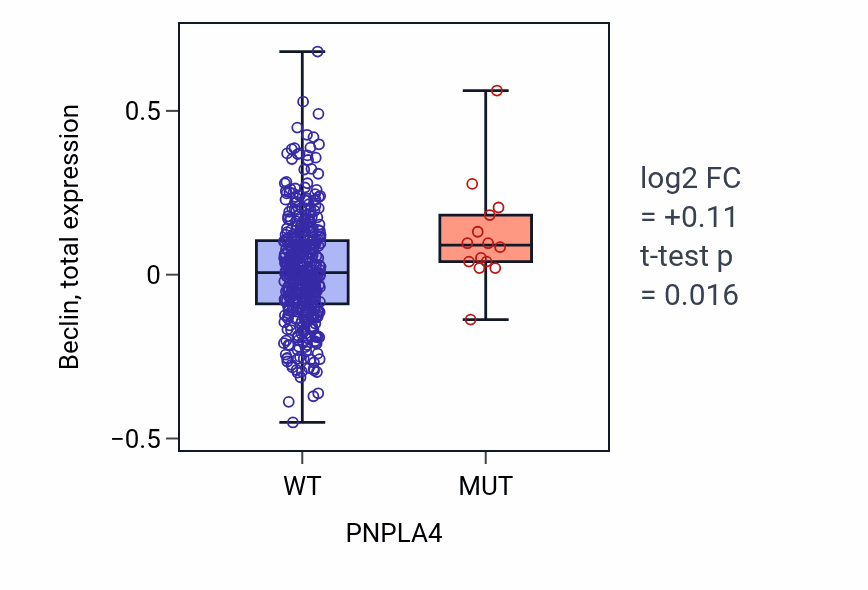 Box plot of Beclin in PNPLA4-low vs PNPLA4-high samples in UCEC.