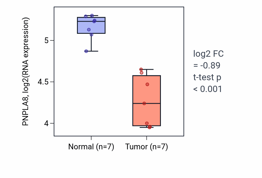 Tumor-vs-normal expression box plot for PNPLA8 RNA in THCA.