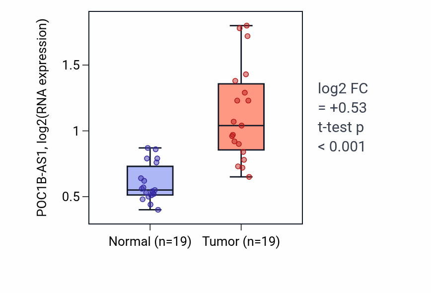Tumor-vs-normal expression box plot for POC1B-AS1 RNA in COAD.
