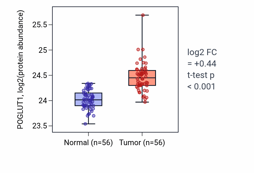 Tumor-vs-normal mass-spec protein box plot for POGLUT1 in HNSC.