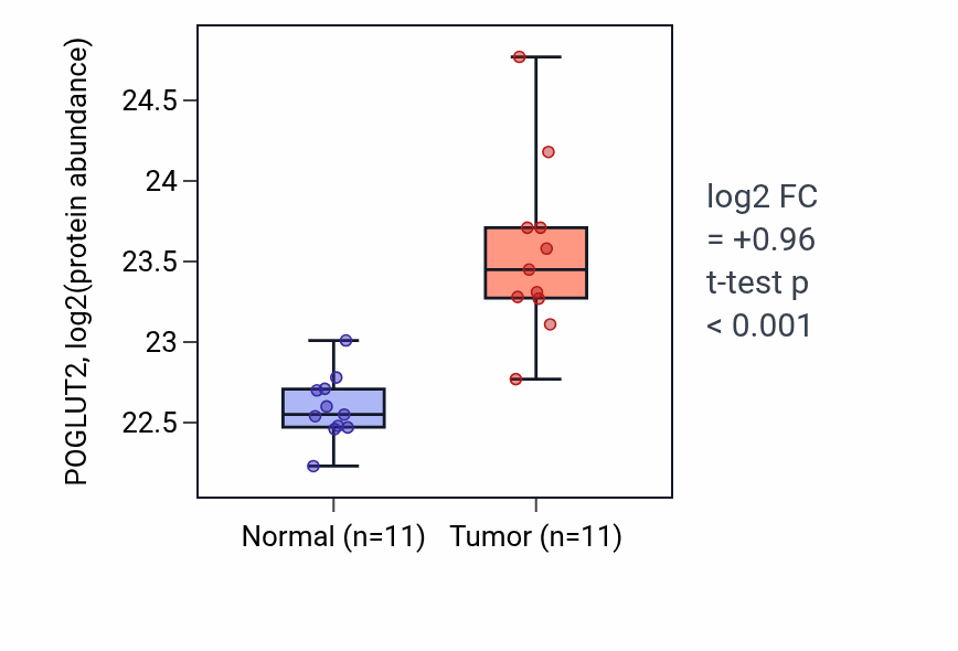 Tumor-vs-normal mass-spec protein box plot for POGLUT2 in CCRCC.