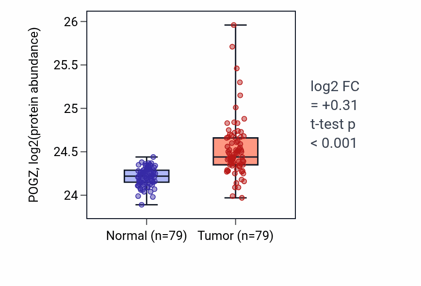 Tumor-vs-normal mass-spec protein box plot for POGZ in LSCC.