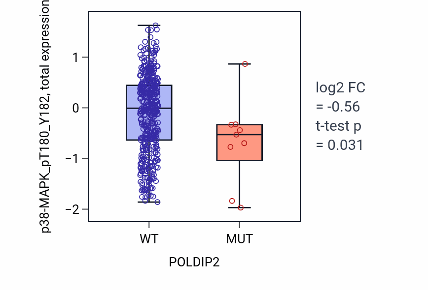 Box plot of p38-MAPK_pT180_Y182 in POLDIP2-low vs POLDIP2-high samples in UCEC.
