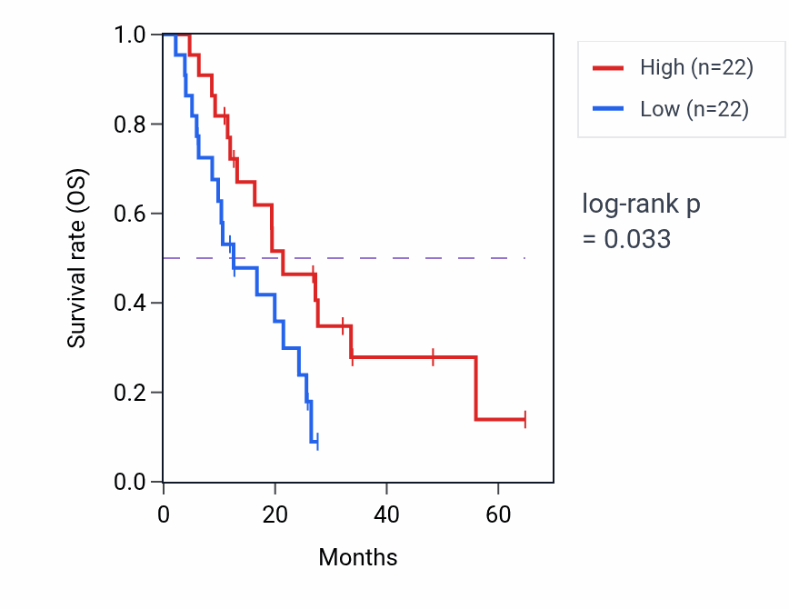 Kaplan&ndash;Meier survival curve for POLQ mass-spec protein-high vs -low samples in GBM.