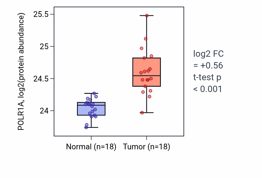 Tumor-vs-normal mass-spec protein box plot for POLR1A in COAD.