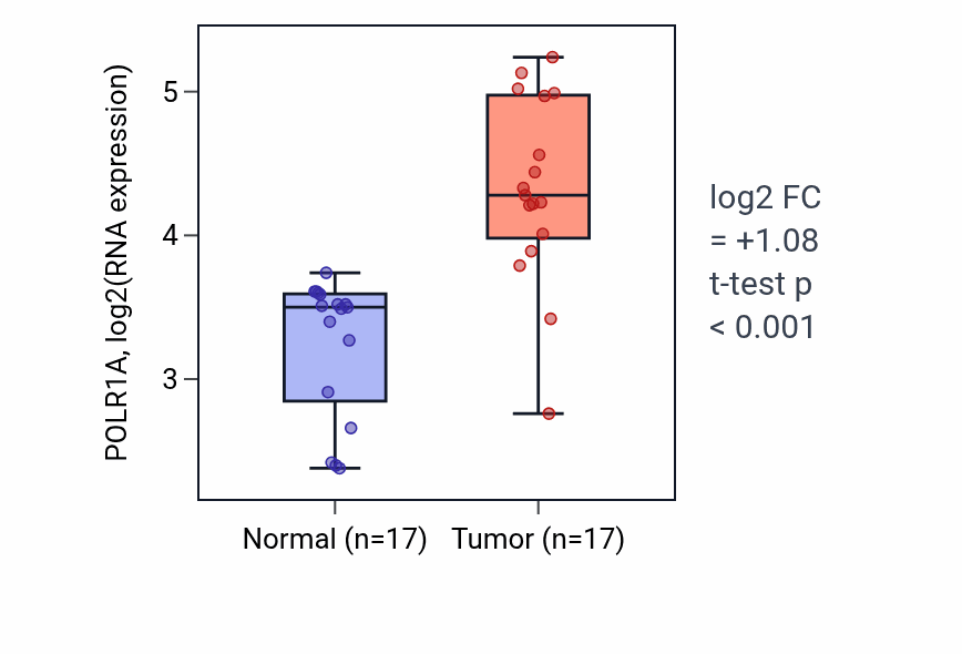 Tumor-vs-normal expression box plot for POLR1A RNA in COAD.