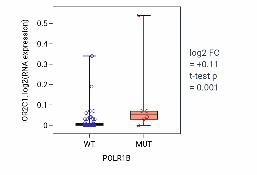 Box plot of OR2C1 in POLR1B-low vs POLR1B-high samples in LARGE_INTESTINE.