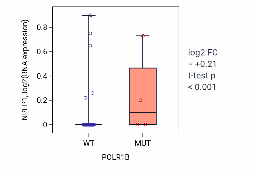 Box plot of NPLP1 in POLR1B-low vs POLR1B-high samples in READ.