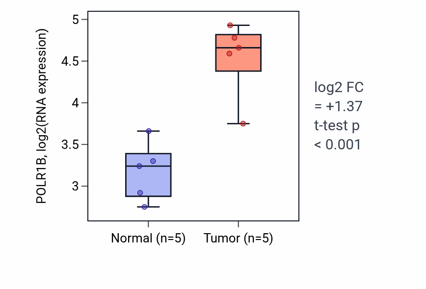 Tumor-vs-normal expression box plot for POLR1B RNA in COAD.