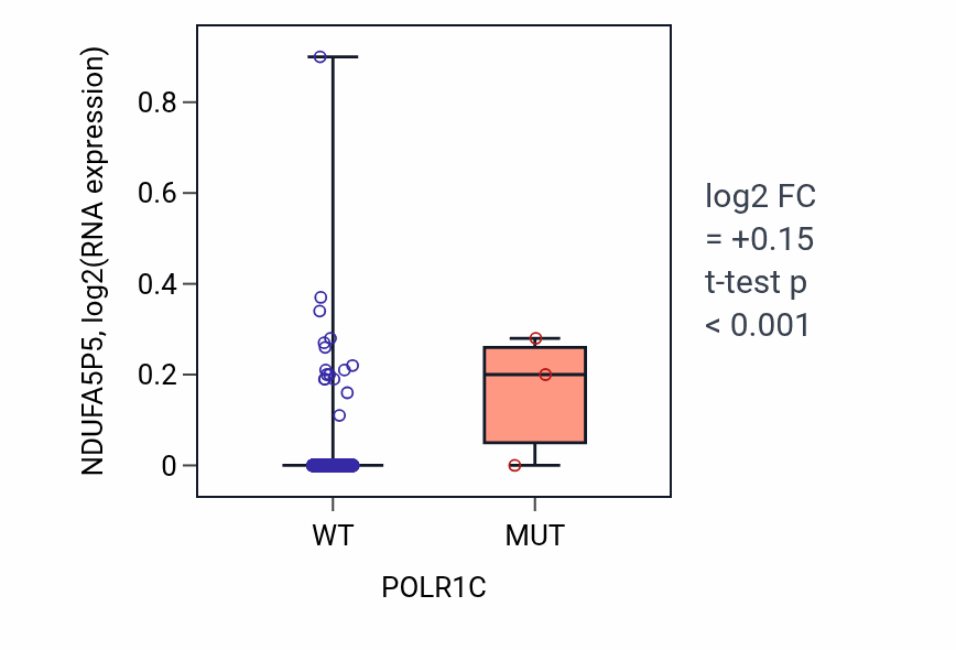 Box plot of NDUFA5P5 in POLR1C-low vs POLR1C-high samples in BRCA.