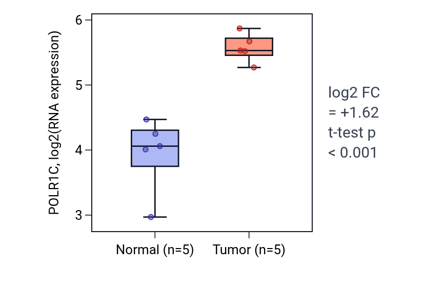 Tumor-vs-normal expression box plot for POLR1C in COAD.
