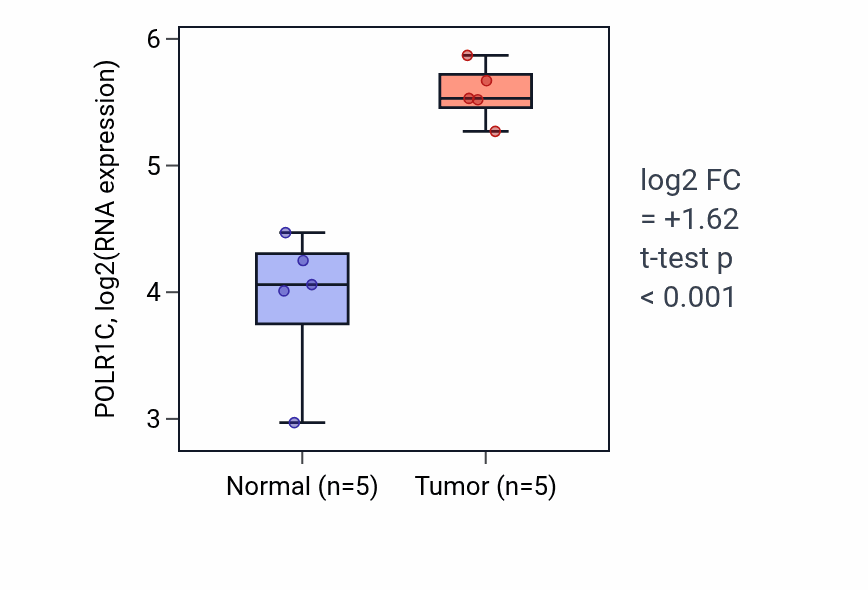 Tumor-vs-normal expression box plot for POLR1C RNA in COAD.