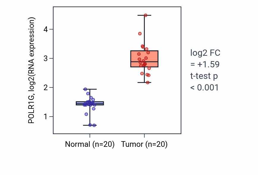 Tumor-vs-normal expression box plot for POLR1G RNA in COAD.