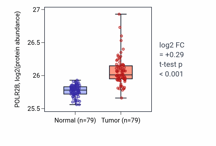 Tumor-vs-normal mass-spec protein box plot for POLR2B in LSCC.
