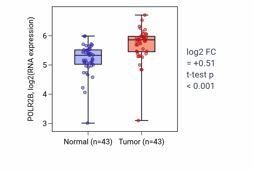 Tumor-vs-normal expression box plot for POLR2B RNA in HNSC.