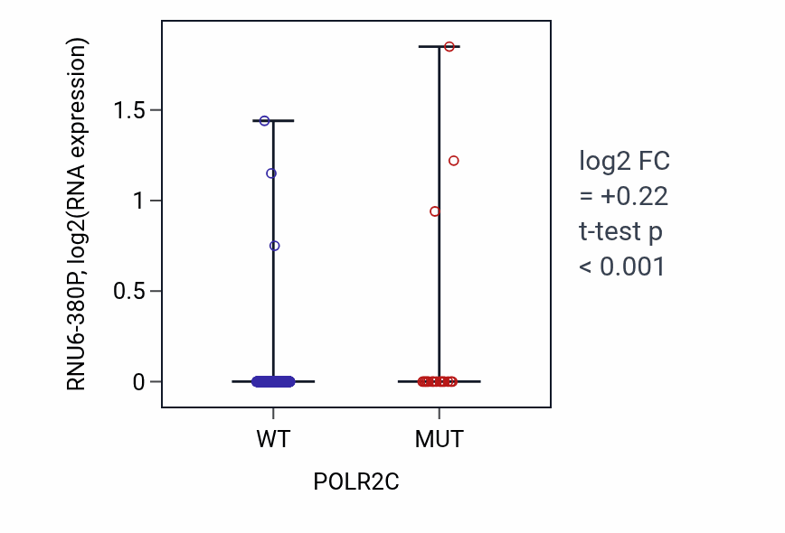 Box plot of RNU6-380P in POLR2C-low vs POLR2C-high samples in UCEC.