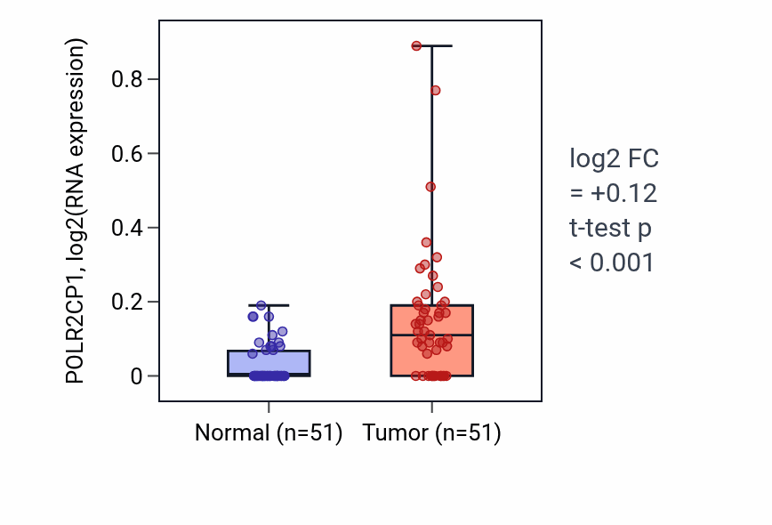 Tumor-vs-normal expression box plot for POLR2CP1 in KIRC.