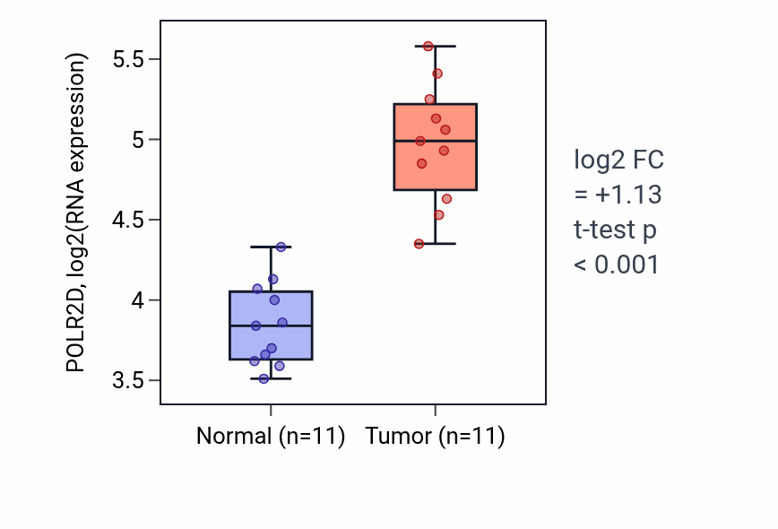 Tumor-vs-normal expression box plot for POLR2D RNA in HNSC.