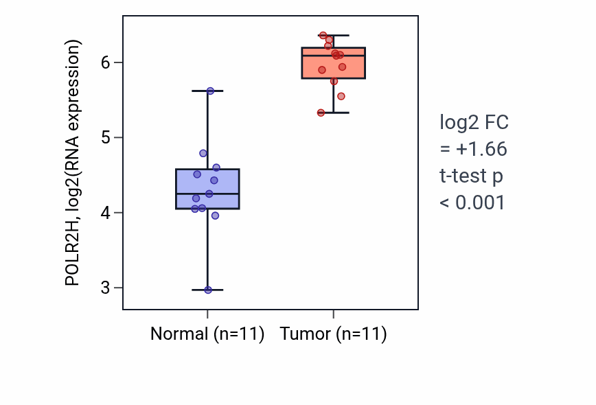 Tumor-vs-normal expression box plot for POLR2H RNA in HNSC.