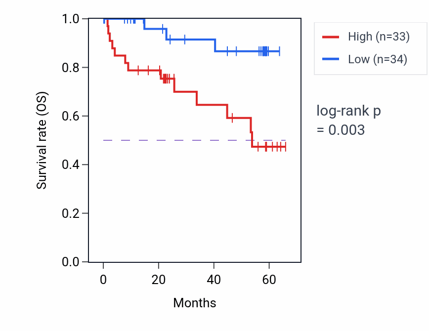 Kaplan&ndash;Meier survival curve for POLR2H mass-spec protein-high vs -low samples in CCRCC.
