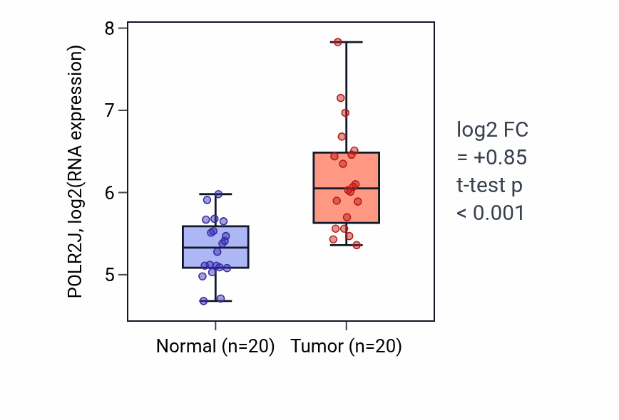 Tumor-vs-normal expression box plot for POLR2J RNA in KIRC.