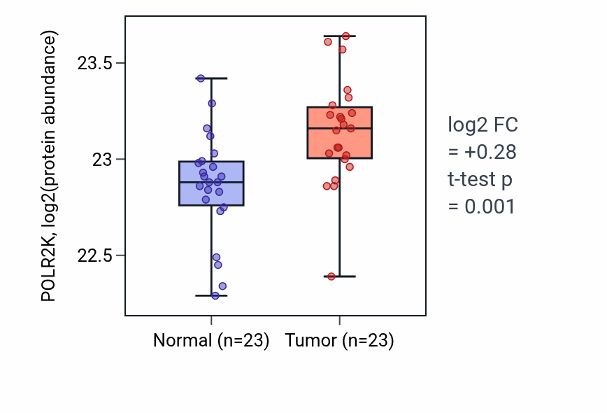 Tumor-vs-normal mass-spec protein box plot for POLR2K in HNSC.