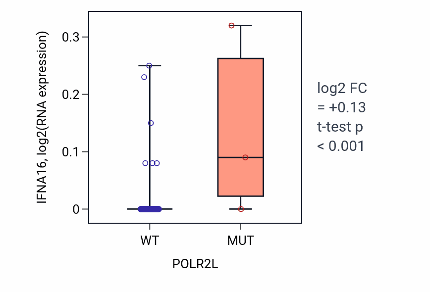 Box plot of IFNA16 in POLR2L-low vs POLR2L-high samples in HNSC.