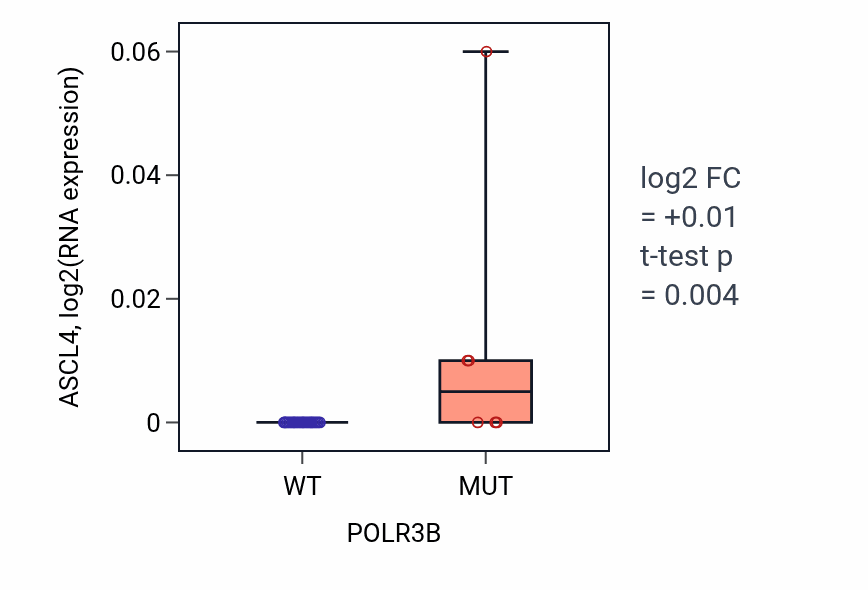 Box plot of ASCL4 in POLR3B-low vs POLR3B-high samples in OESOPHAGUS.